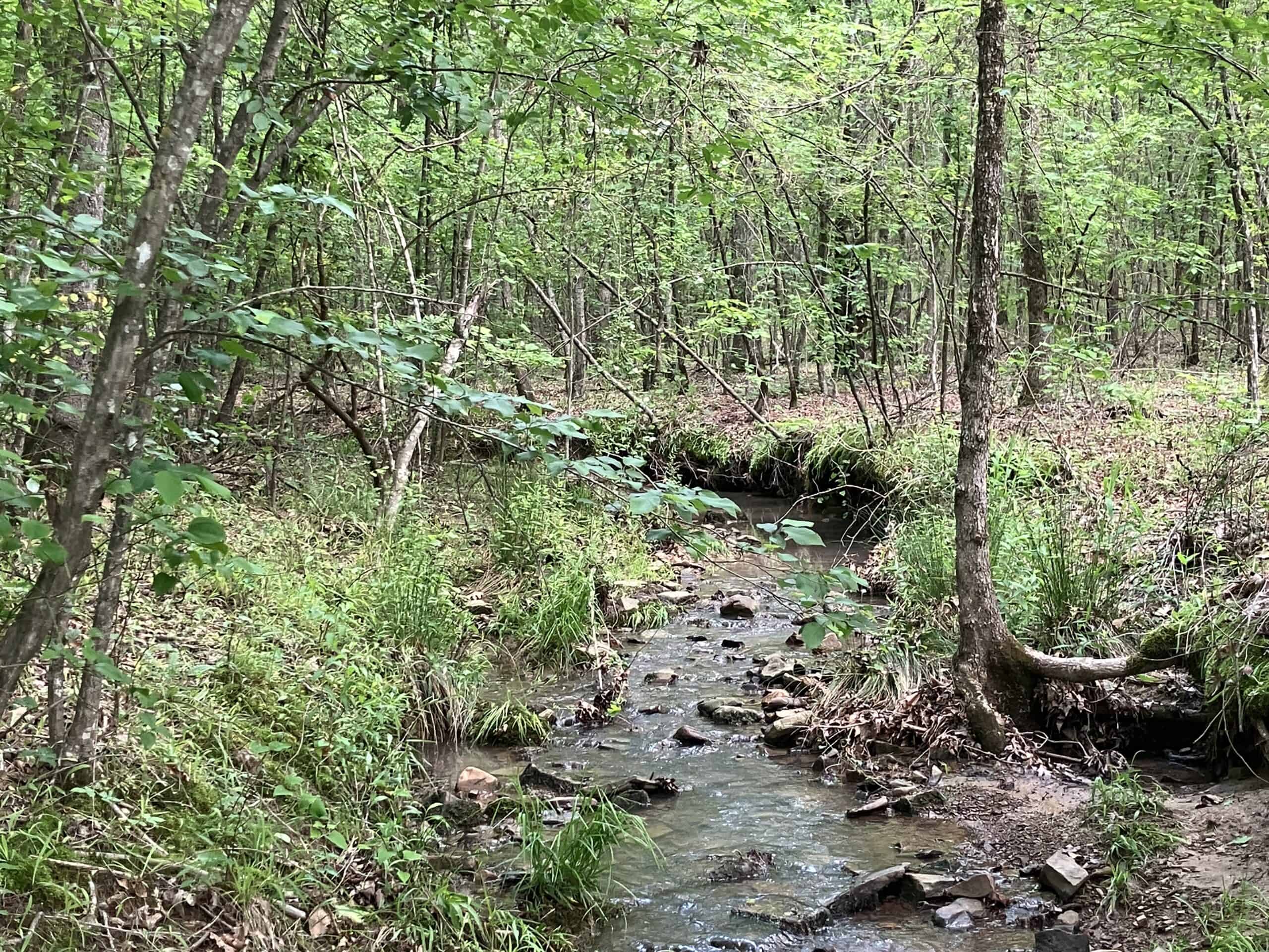 5± Acres of Wooded Hunting & Recreational Land with Creek in SE Oklahoma