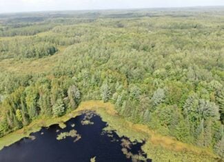 37.5± Acres with Off-Grid Cabin – Taylor County, Wisconsin