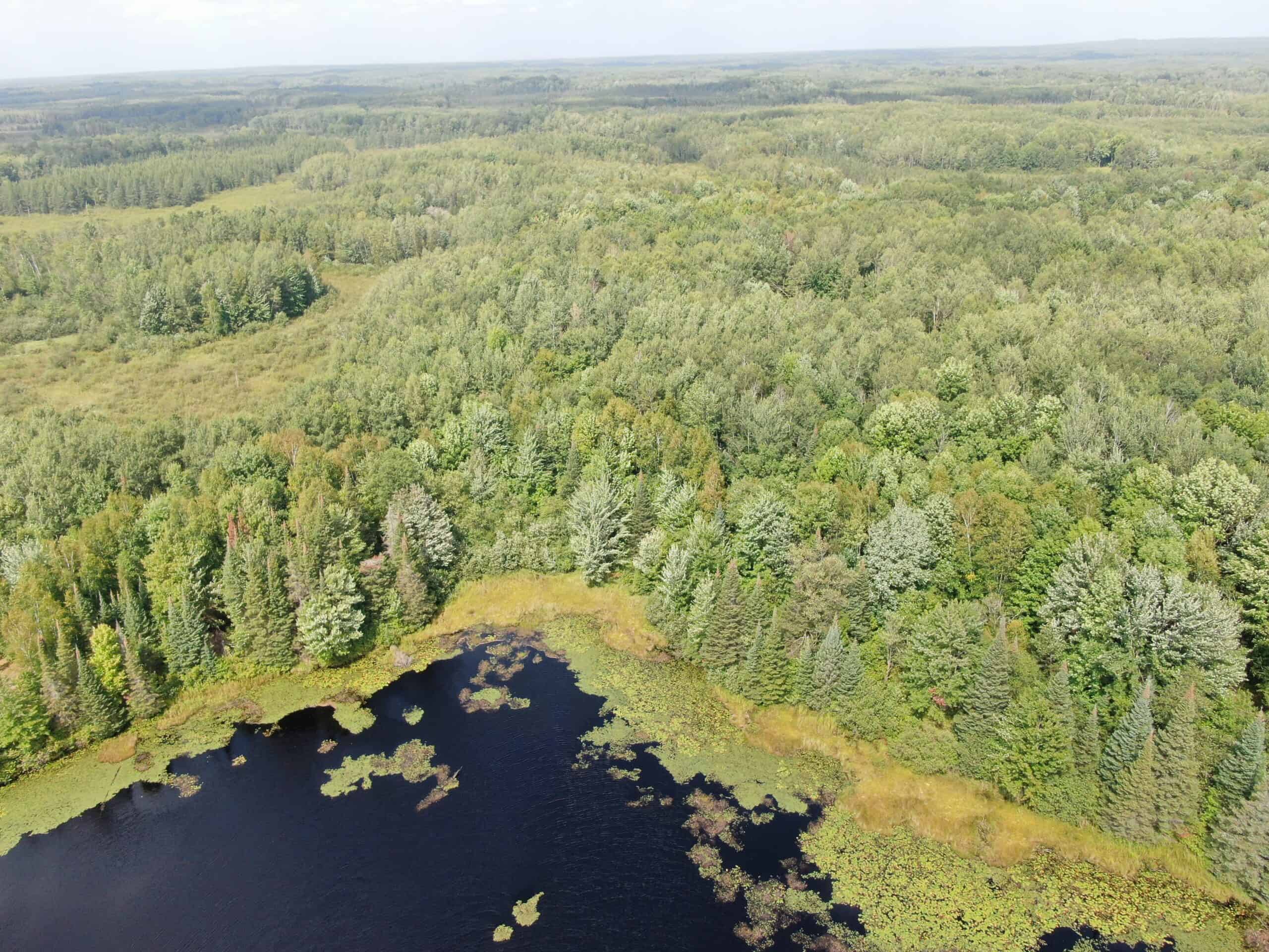 37.5± Acres with Off-Grid Cabin – Taylor County, Wisconsin
