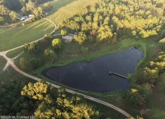 210+/- Acres and Cabin in Franklin County, MS