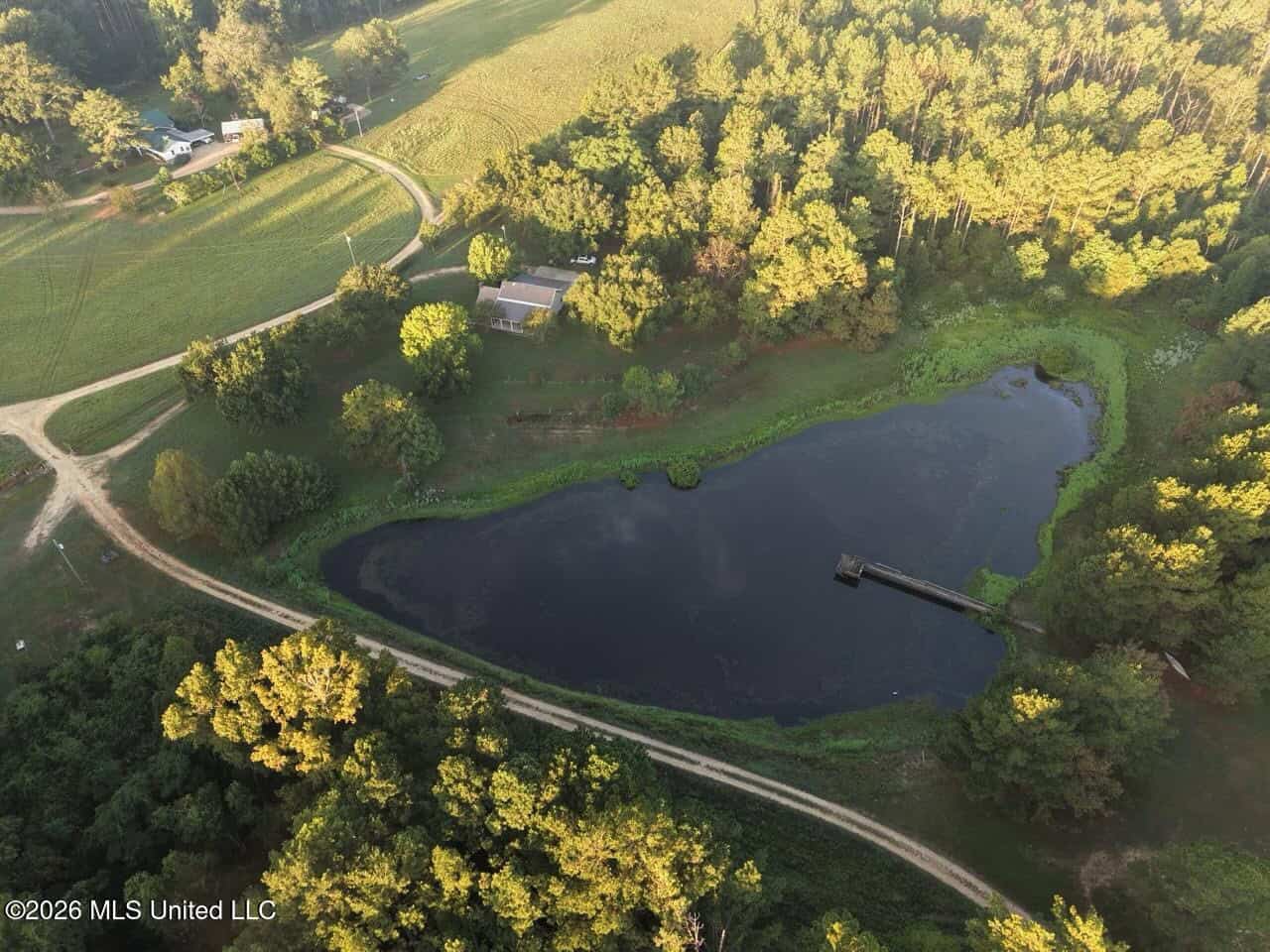 210+/- Acres and Cabin in Franklin County, MS