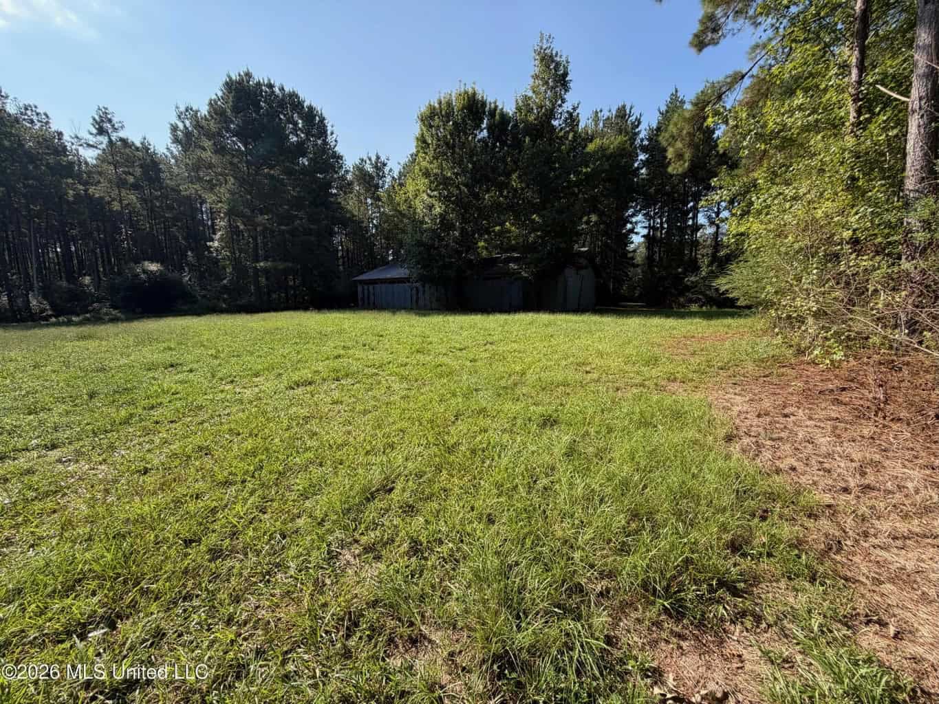 76 Acres of Hunting Land in Raleigh, MS, Smith County