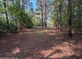 52 Acres Hunting & Timberland in Raleigh, MS