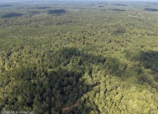 45± Acre Hunting Property in Franklin County, MS