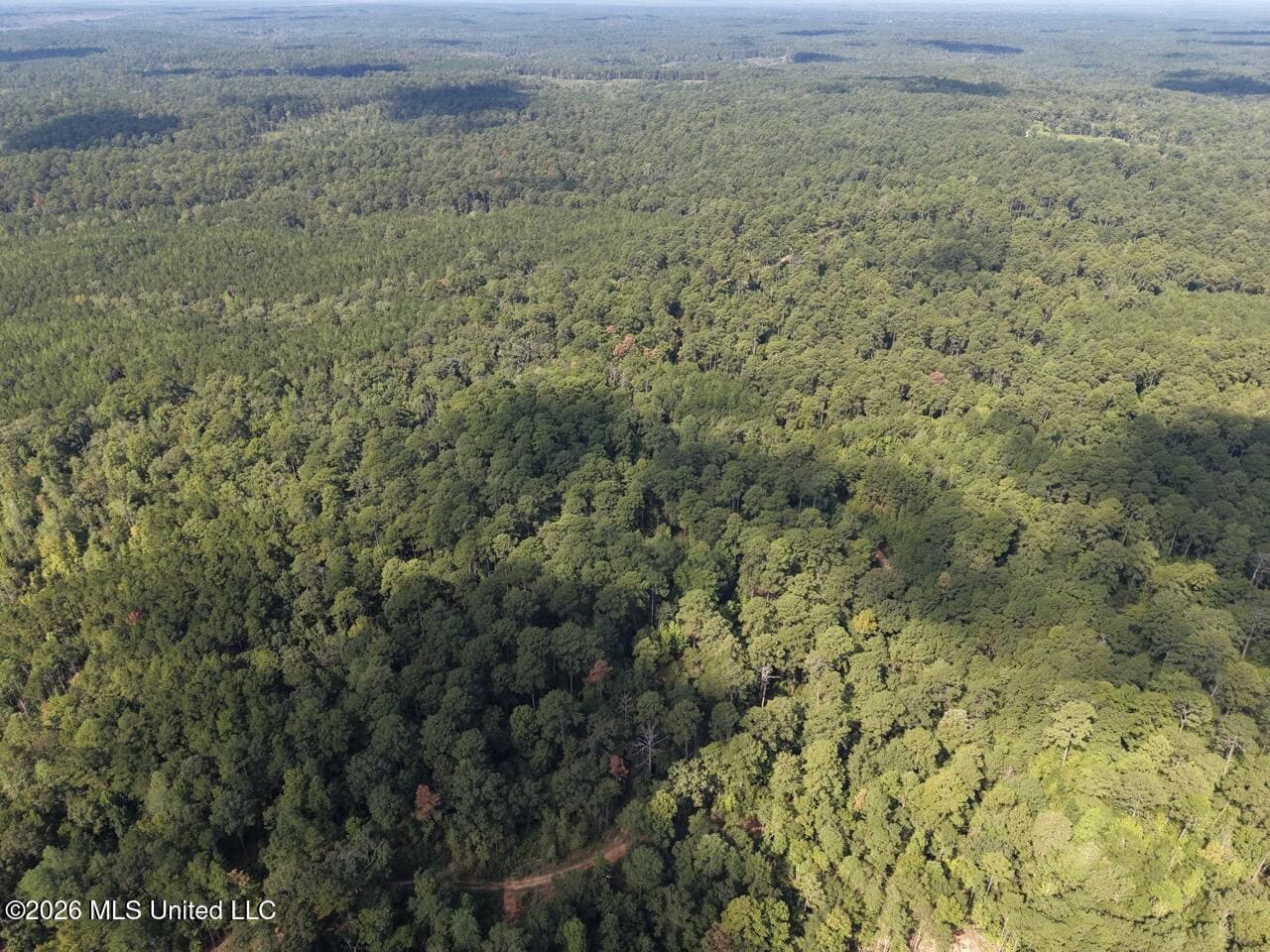45± Acre Hunting Property in Franklin County, MS