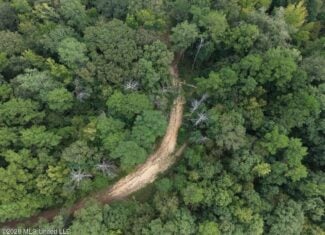 200± Acre Hunting Property in Jefferson County, MS