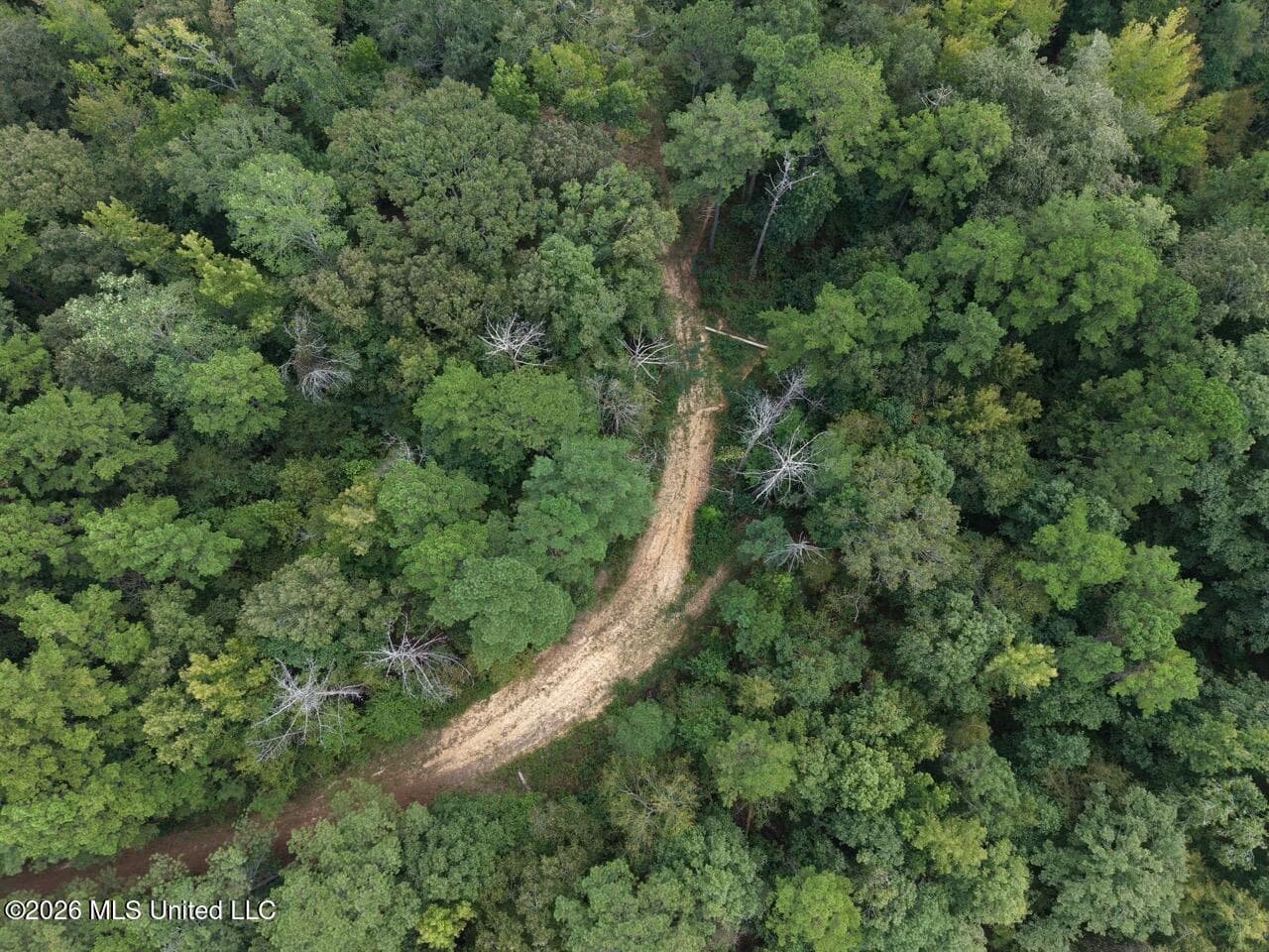 200± Acre Hunting Property in Jefferson County, MS