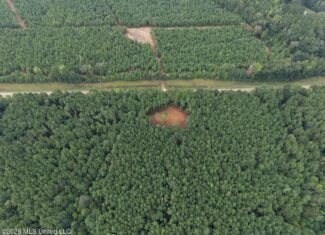 25± Acre Hunting & Homesite Tract in Centreville, MS