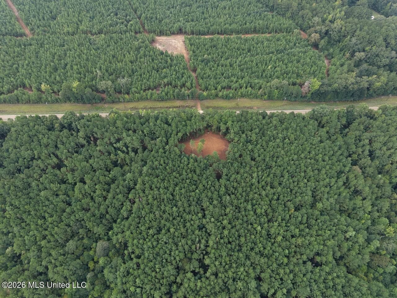 25± Acre Hunting & Homesite Tract in Centreville, MS