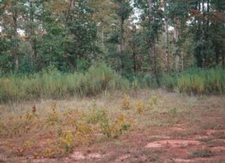 Affordable Union Parish Land for Sale