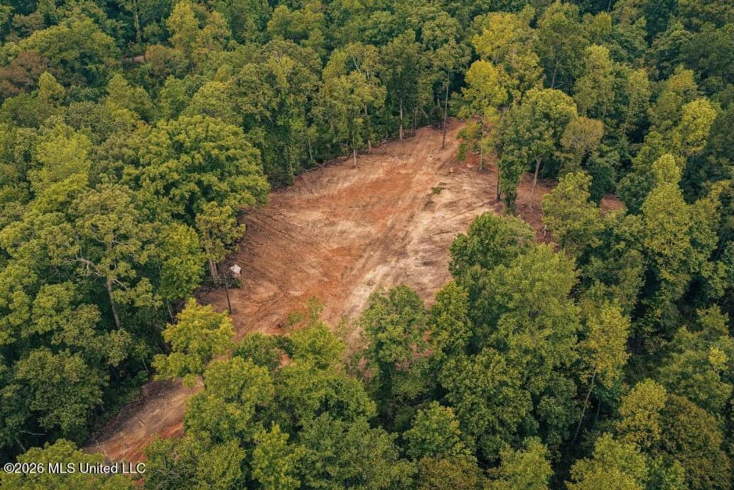 58± Acre Hunting Property in Franklin County, MS