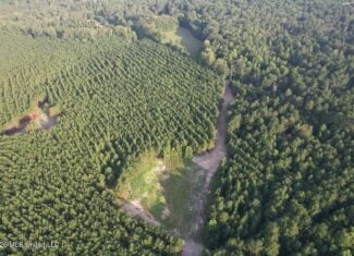 80± Acre Riverfront Hunting Land Near Meadville, MS