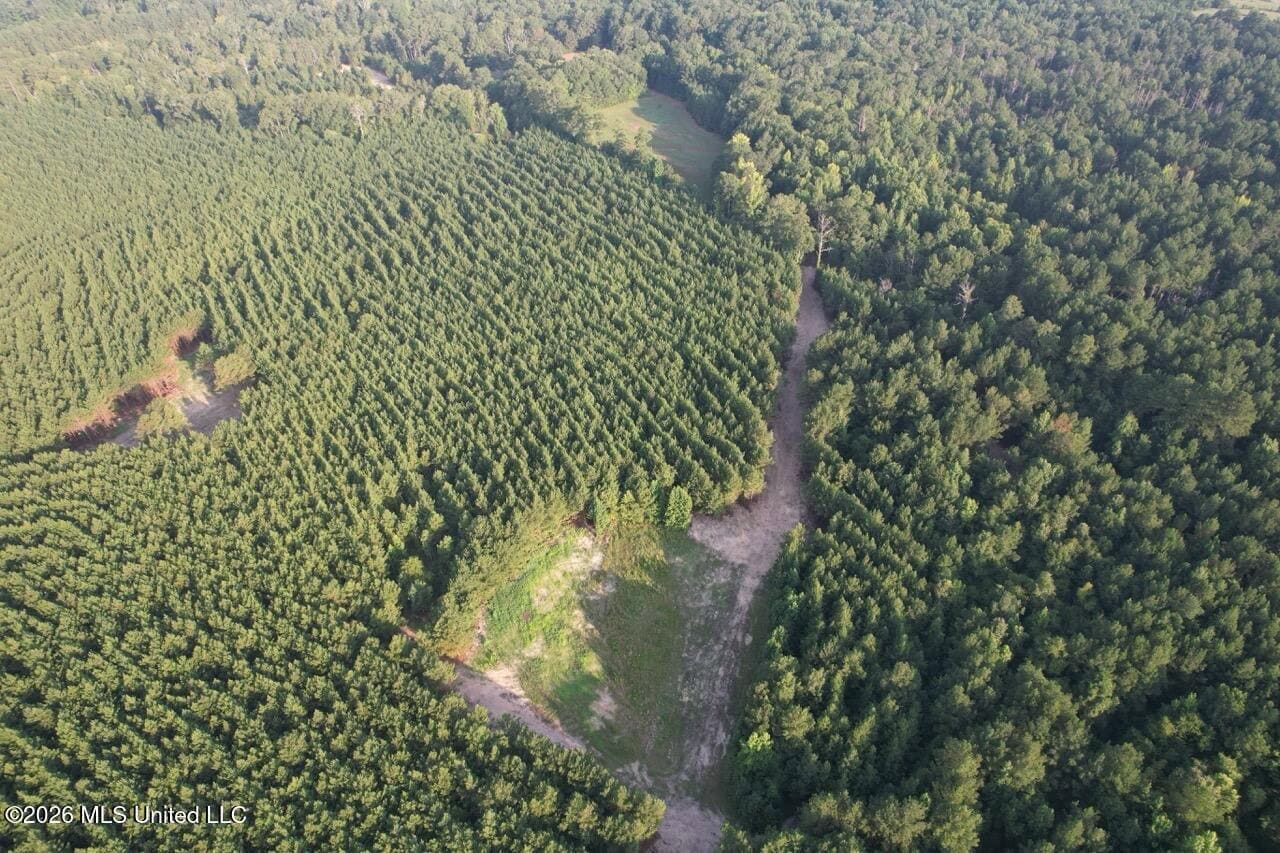 80± Acre Riverfront Hunting Land Near Meadville, MS