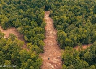 36± Acre Hunting Property Near Bude, MS