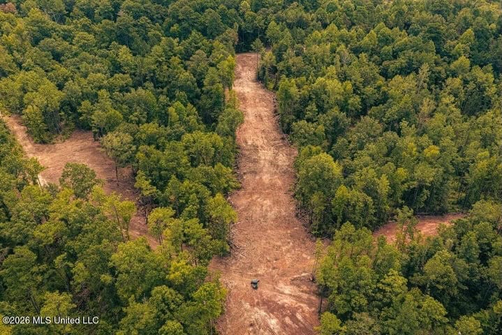 36± Acre Hunting Property Near Bude, MS