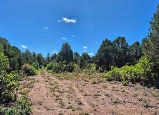 Colorado Hunting Land For Sale
