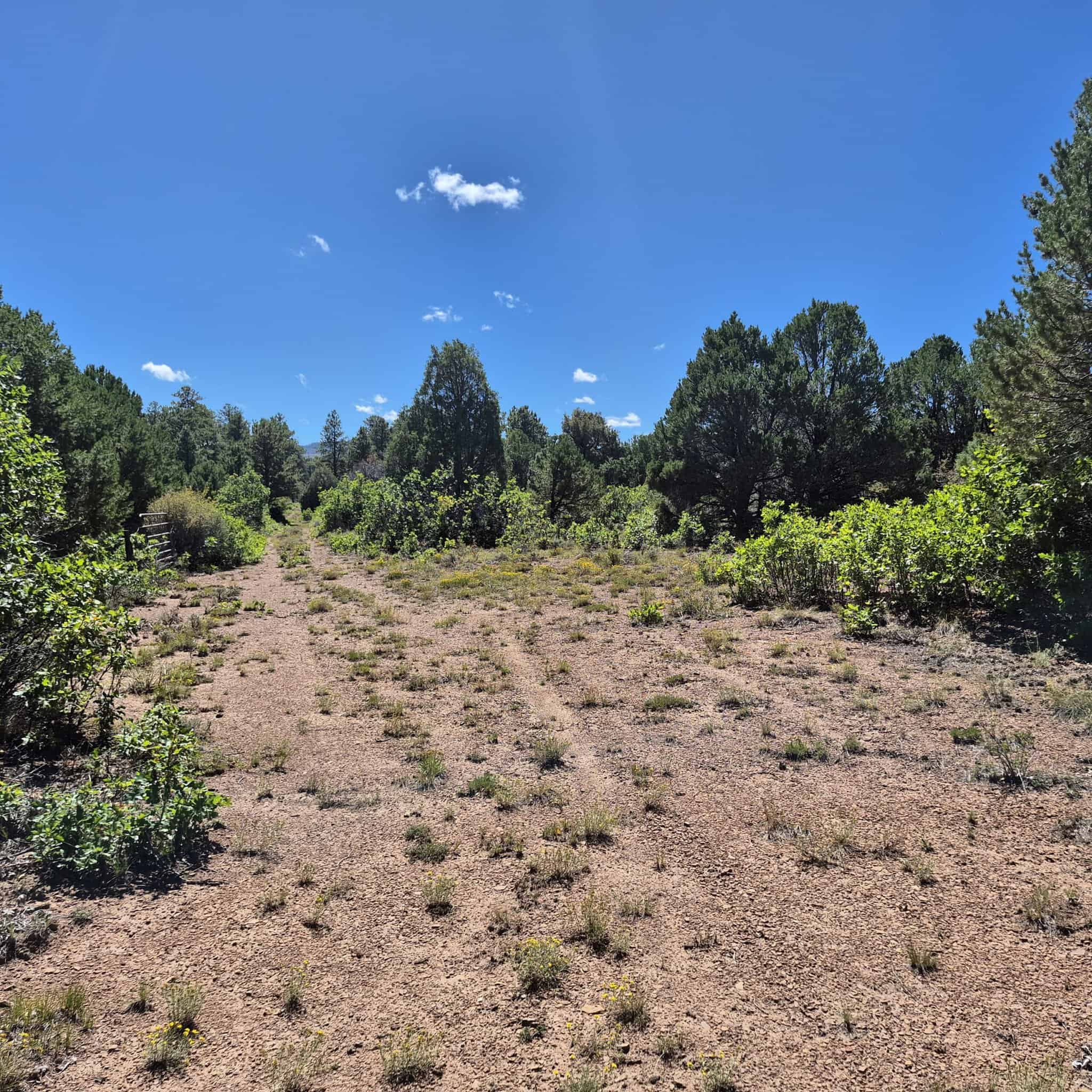Colorado Hunting Land For Sale