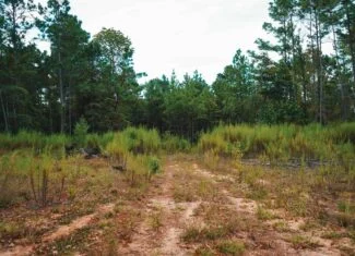 Affordable Union Parish Land for Sale