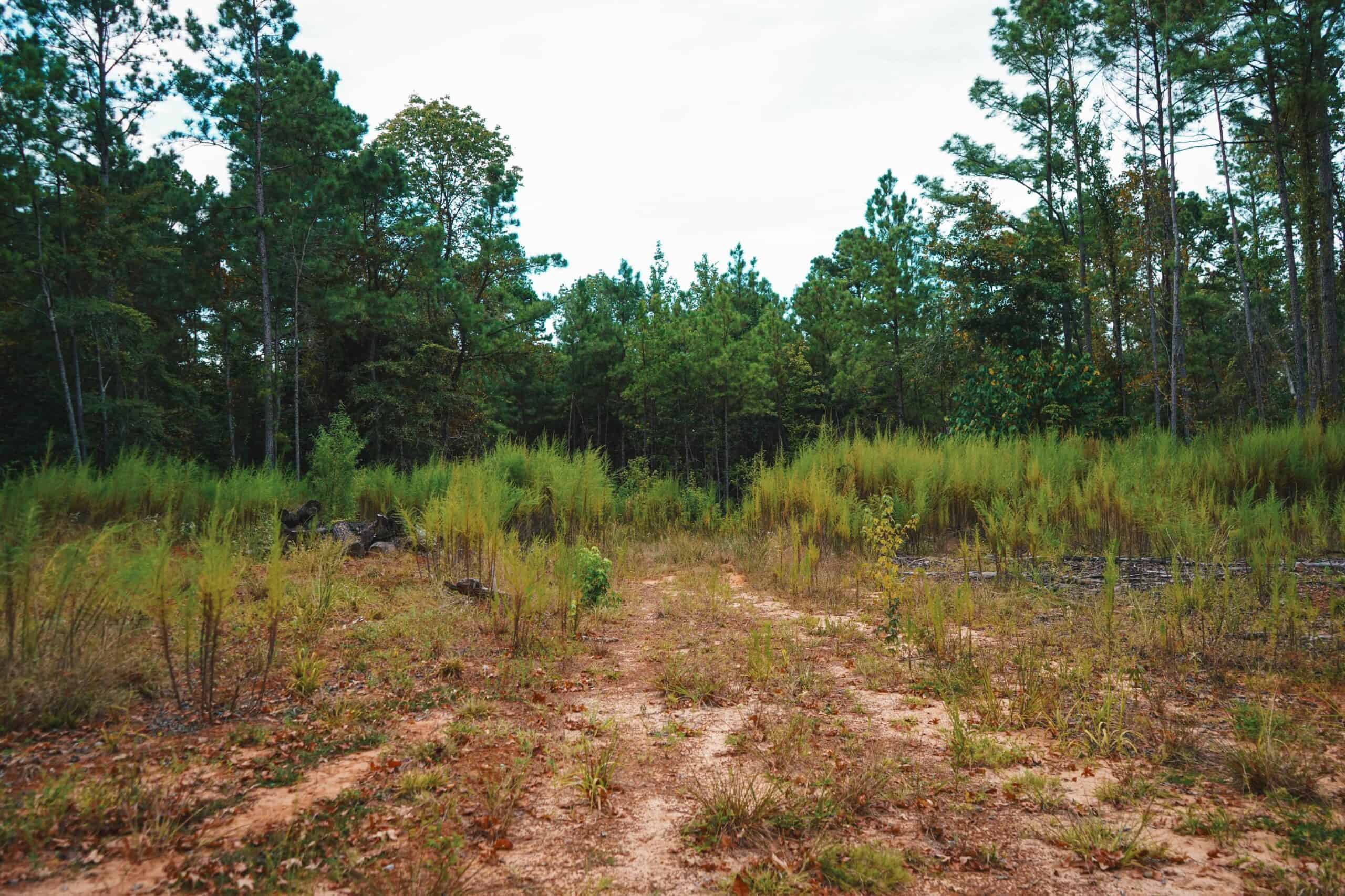 Affordable Union Parish Land for Sale