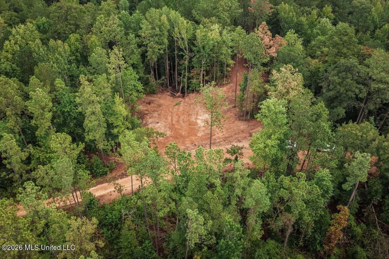 13± Acres by Homochitto National Forest Near Meadville, MS