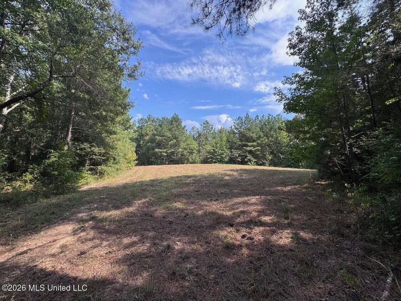 200± Acre Hunting Property in Jefferson County, MS