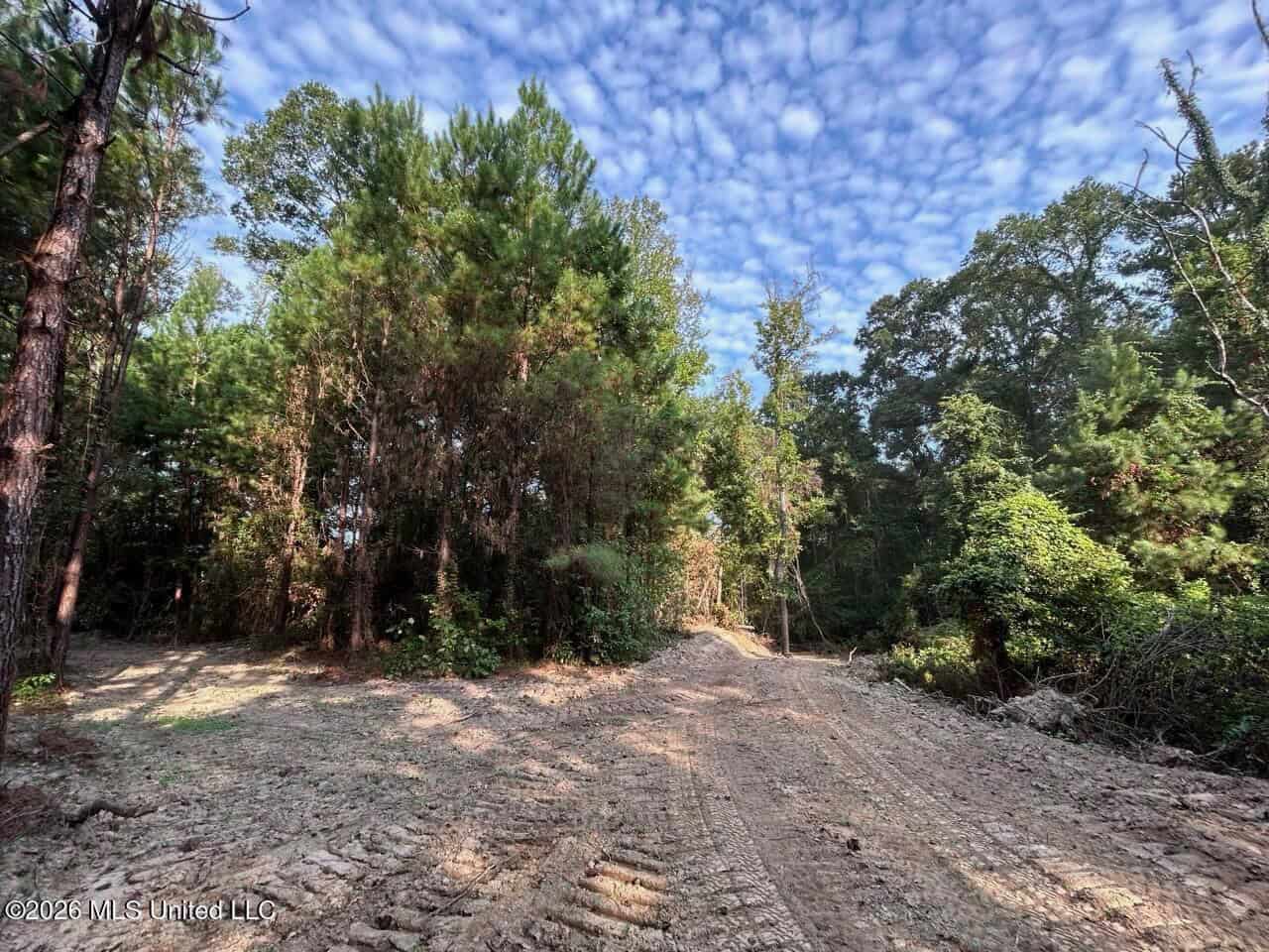 80± Acre Riverfront Hunting Land Near Meadville, MS