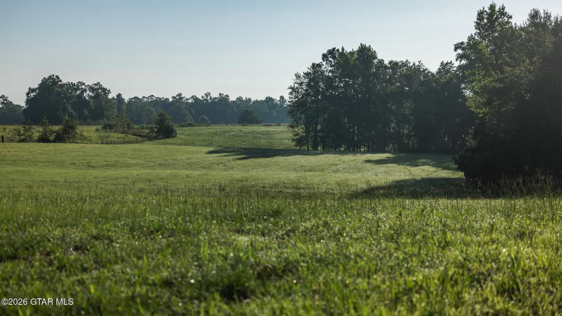 Golden Pines Ranch – 96 Acres
