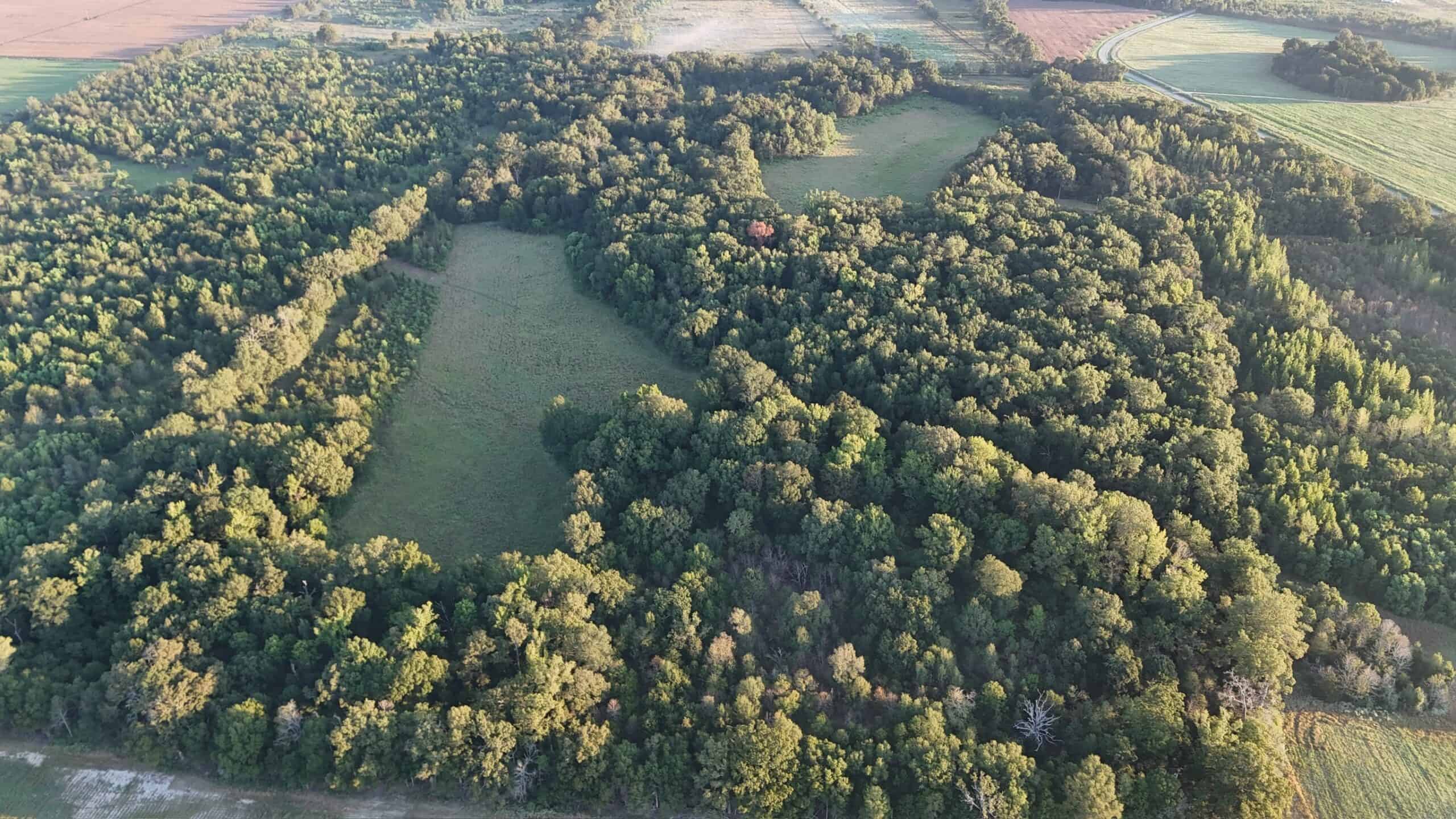 80 Ac Home, Hunting & Cattle Land in Franklin Parish LA
