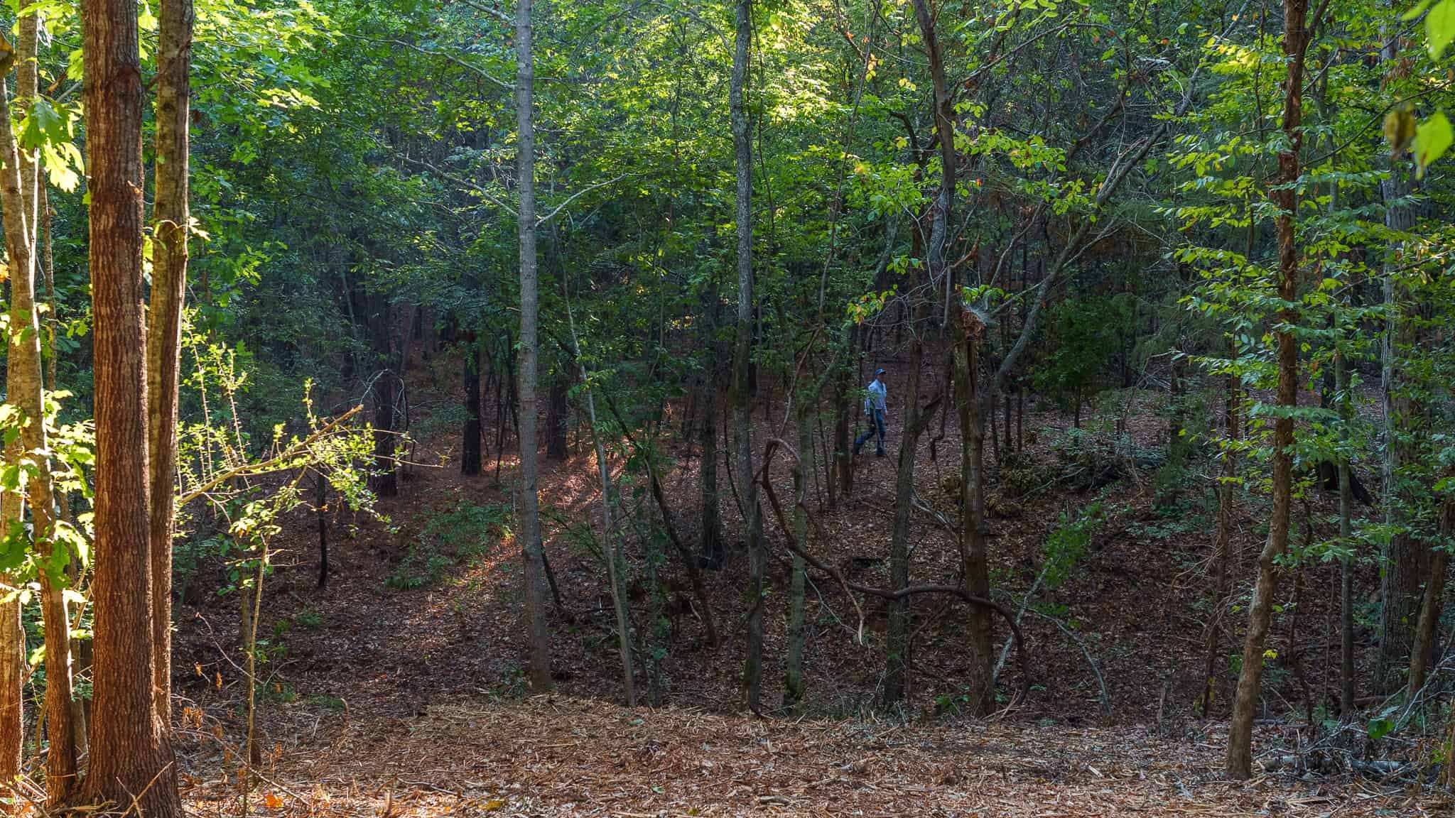 Tyler Texas Hunting Property for Sale 141 ± Acres East of Dallas