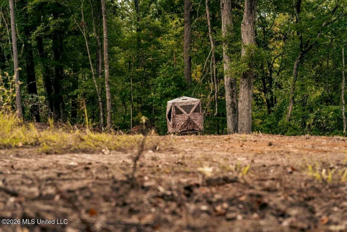 58± Acre Hunting Property in Franklin County, MS