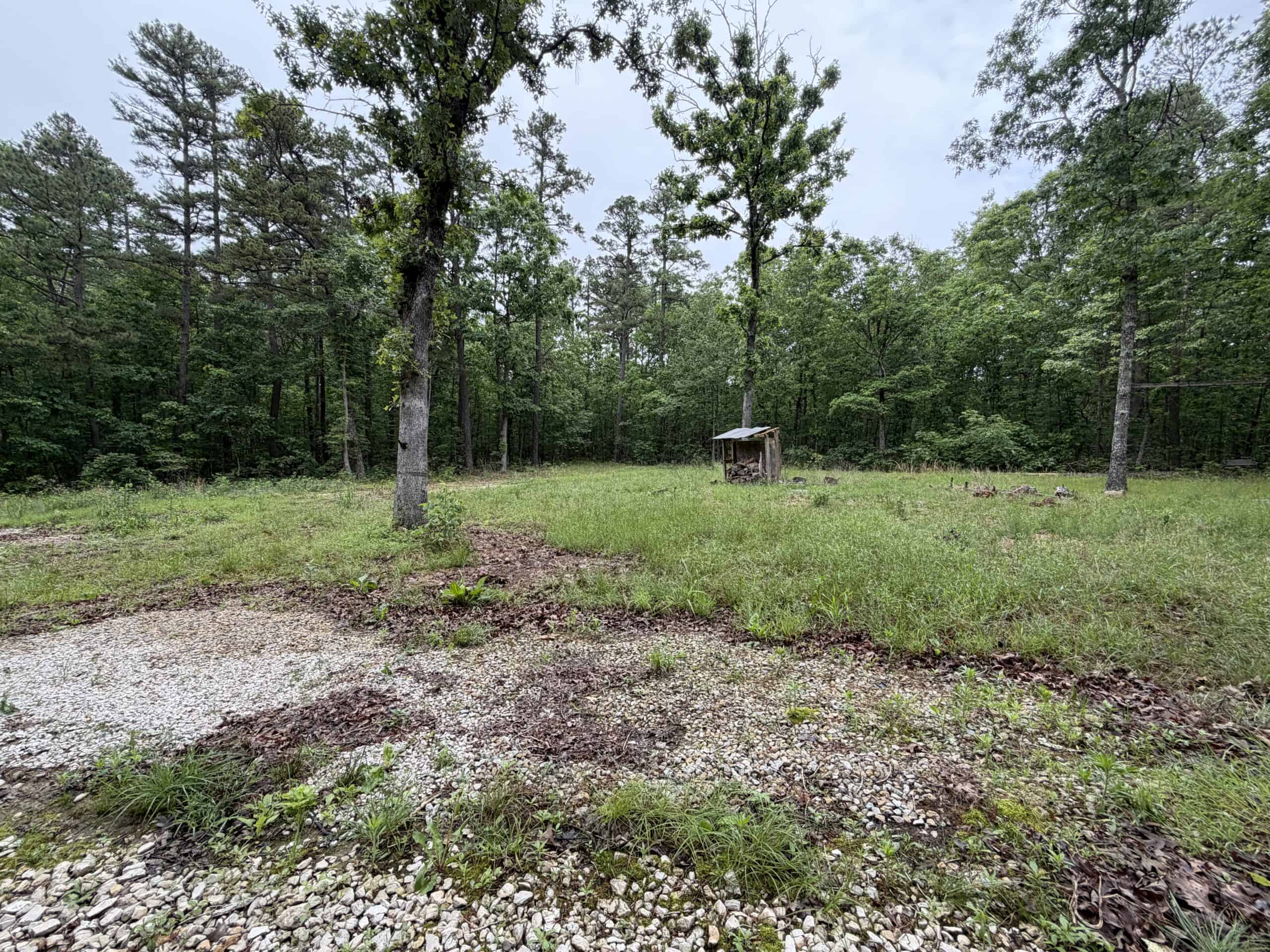46.12 ± Acre Hunting Land for Sale in the Missouri Ozarks