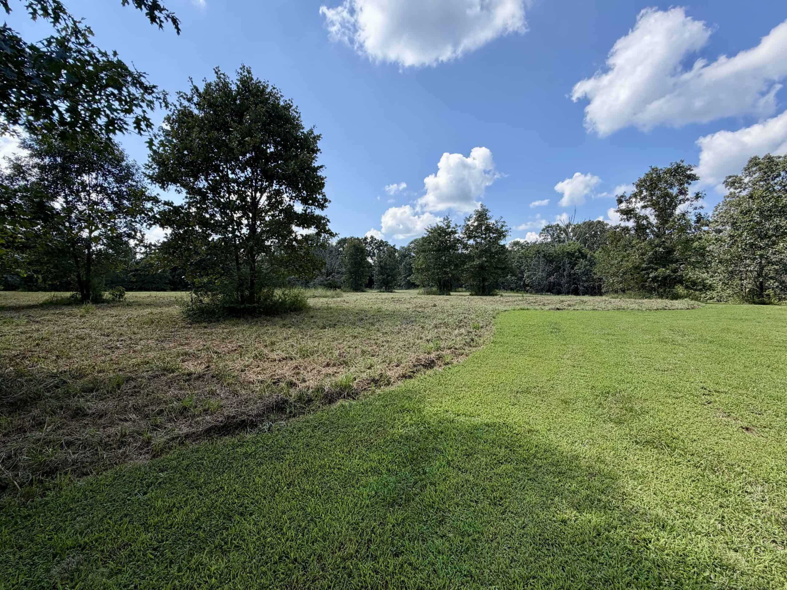 91 ± Acre Hunting Property for Sale in Salem, Missouri Ozarks