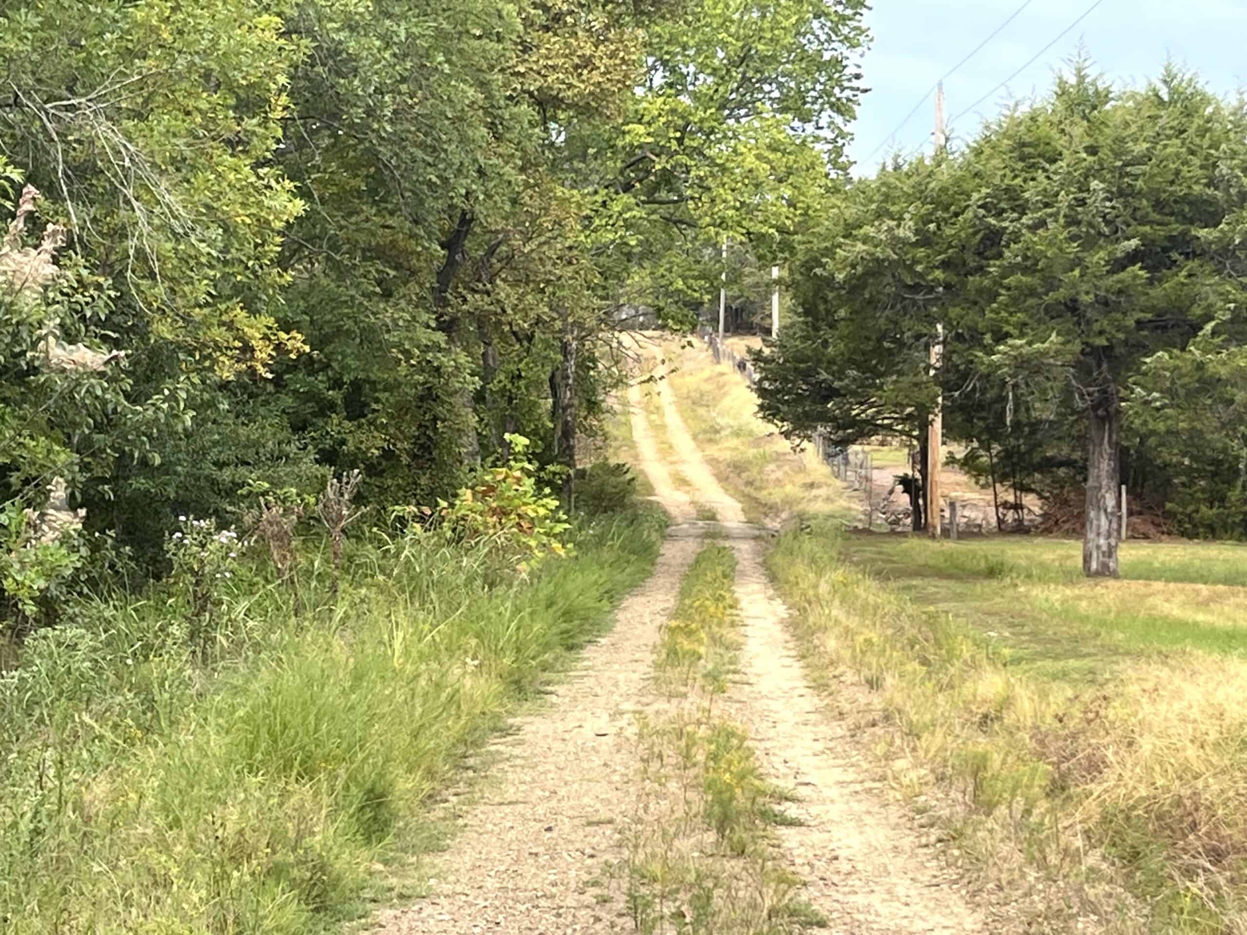 85 Acres of Hunting Land with Native Timber, Wildlife & Pond in SE Oklahoma