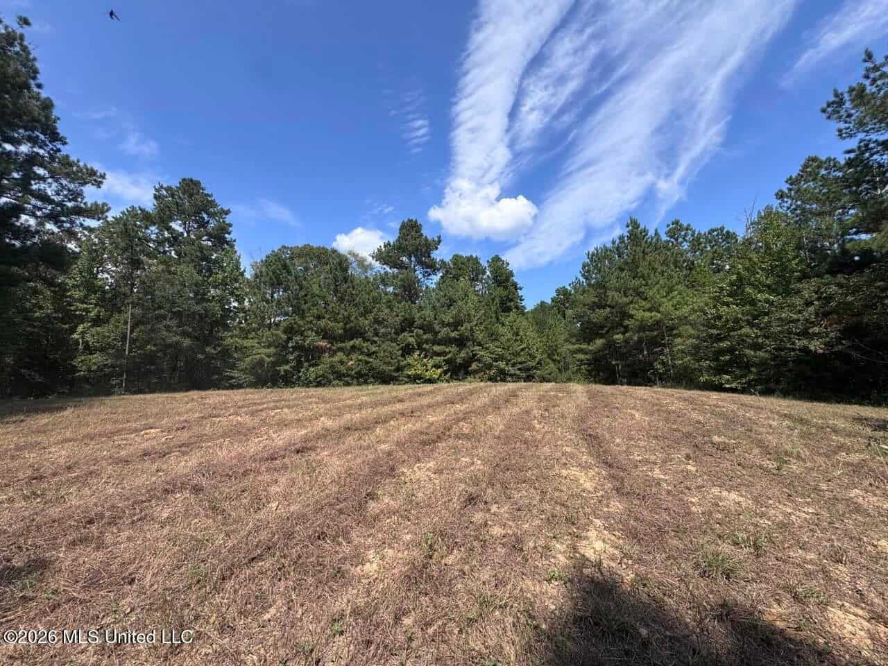 200± Acre Hunting Property in Jefferson County, MS