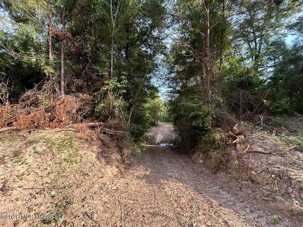 80± Acre Riverfront Hunting Land Near Meadville, MS