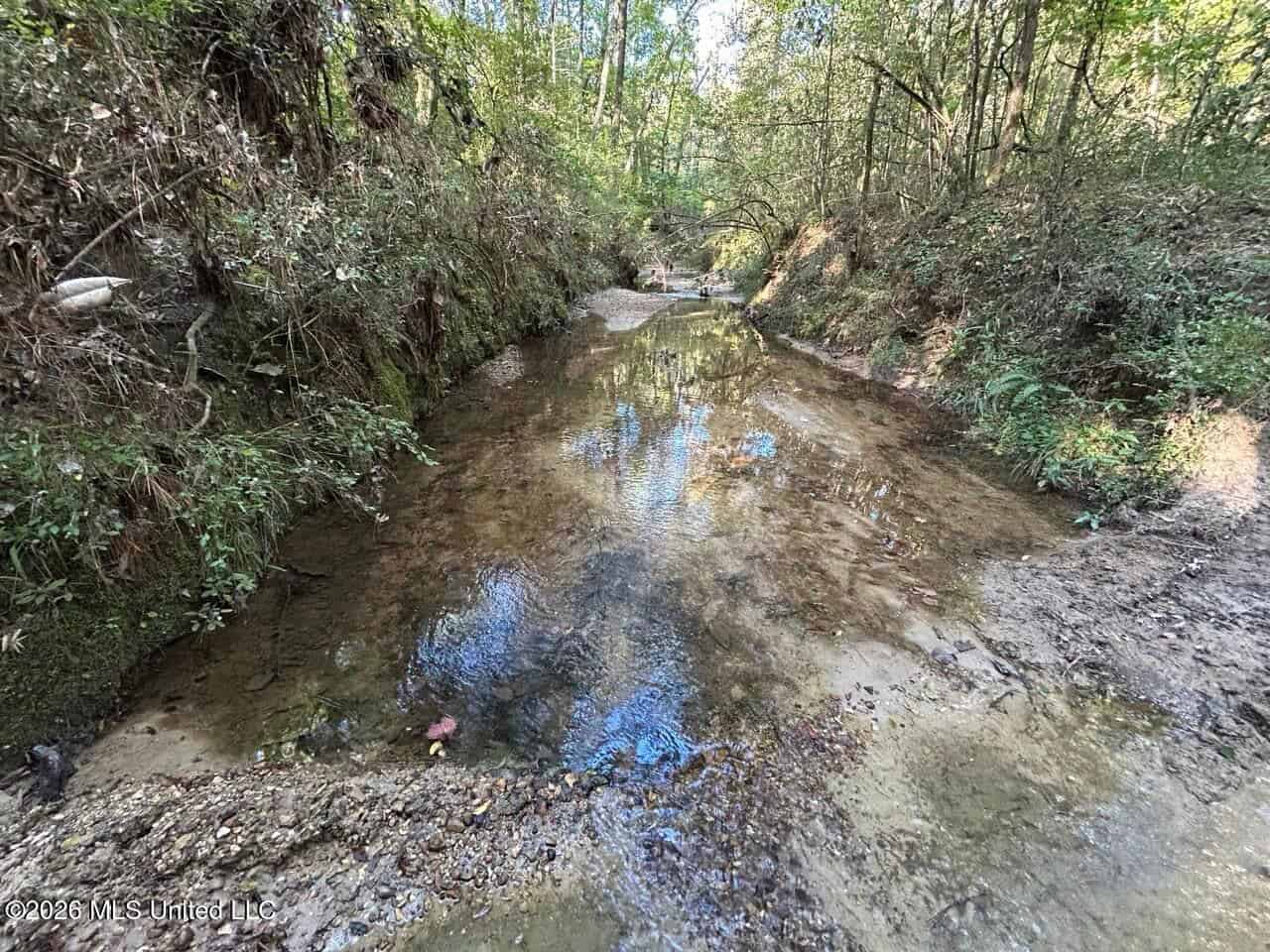 210+/- Acres and Cabin in Franklin County, MS