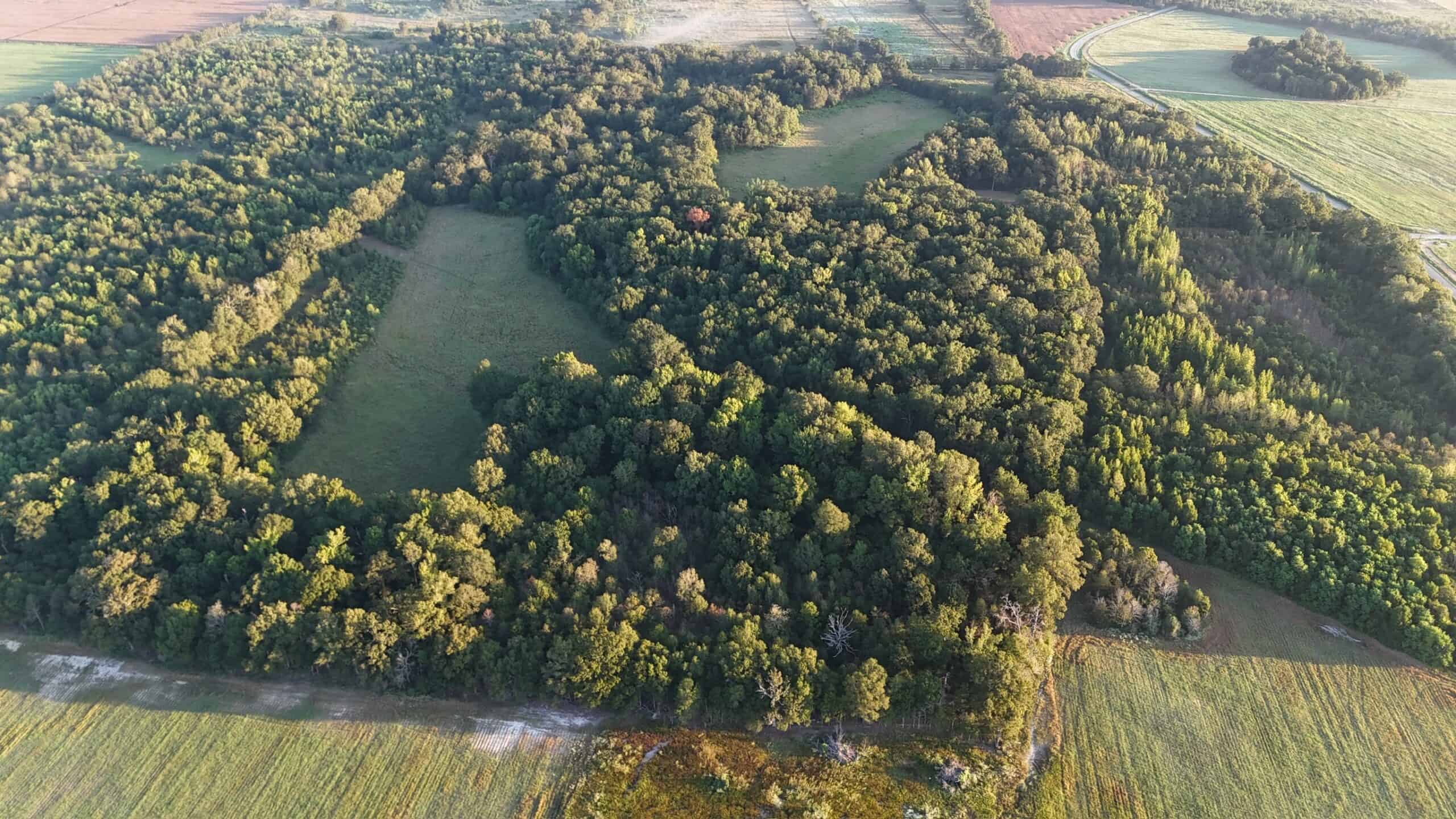 80 Ac Home, Hunting & Cattle Land in Franklin Parish LA