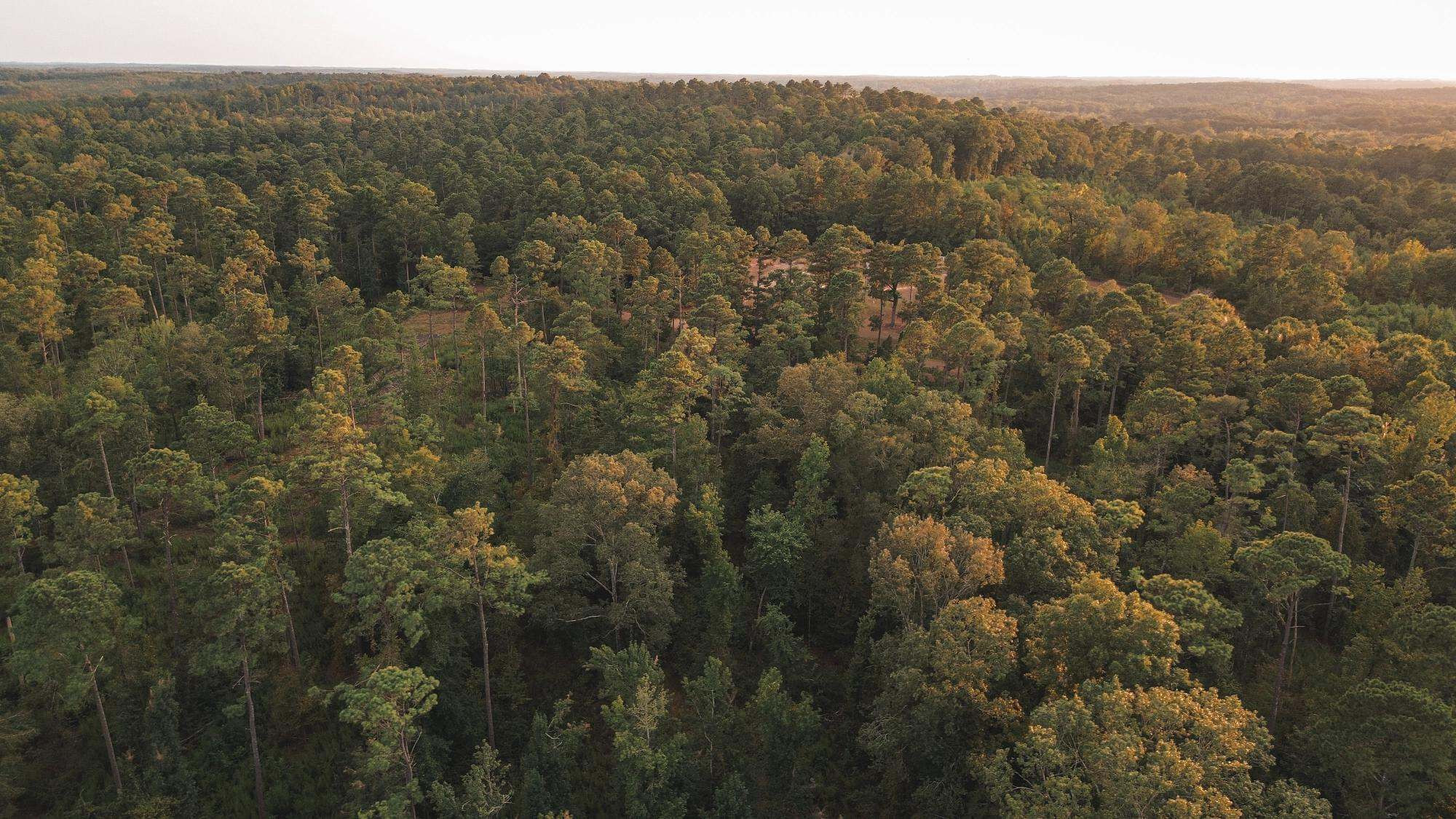 Affordable Union Parish Land for Sale