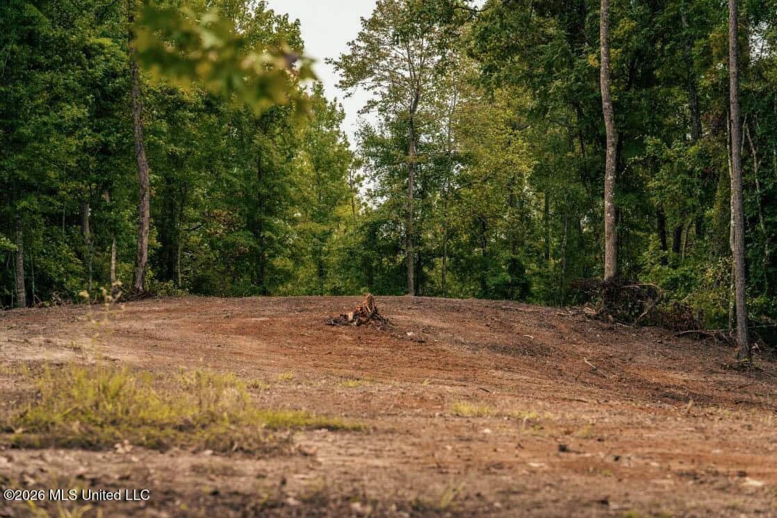 58± Acre Hunting Property in Franklin County, MS