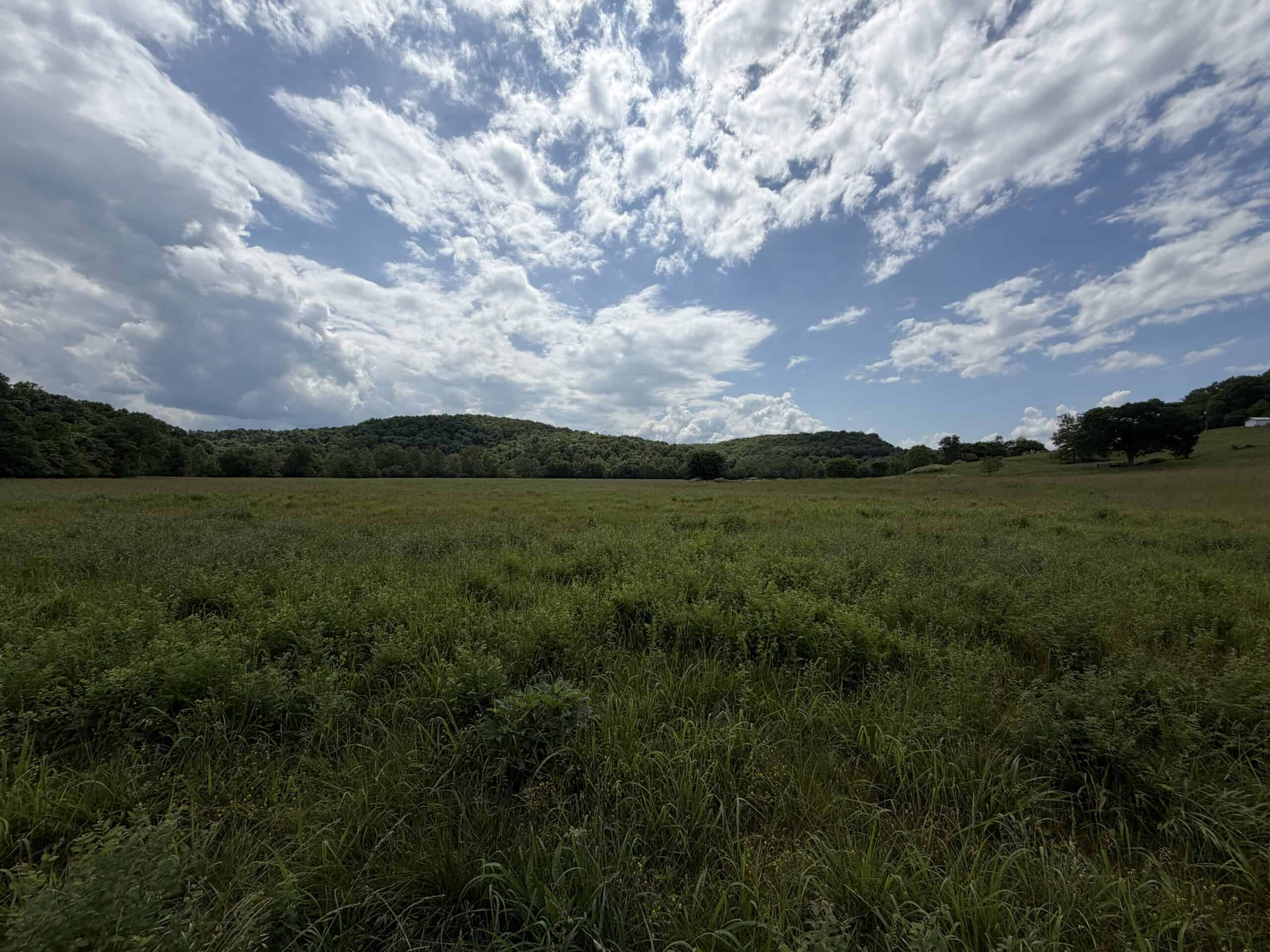 473 ± Acre Ozark Farm for Sale Near Salem, Missouri