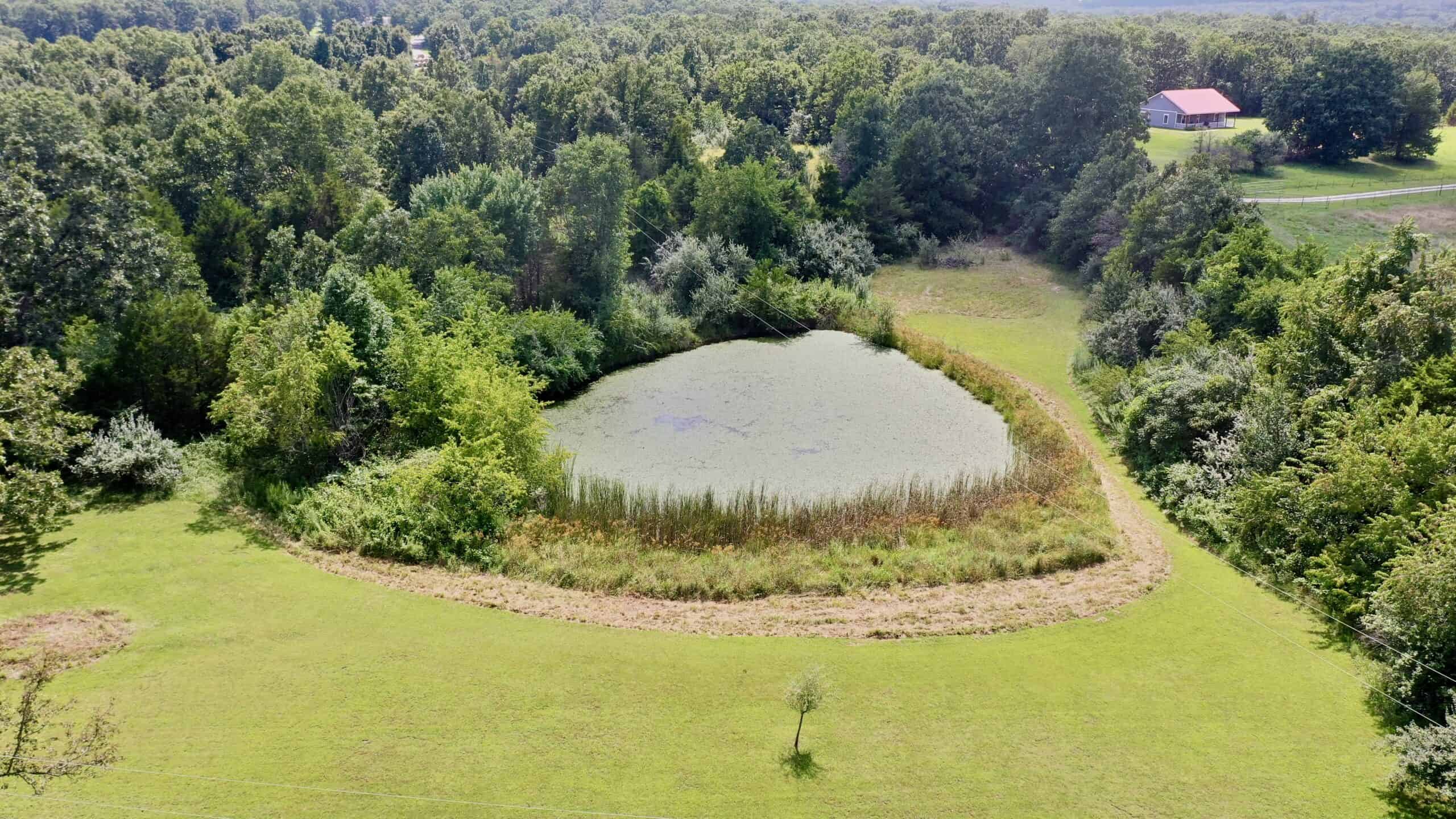 91 ± Acre Hunting Property for Sale in Salem, Missouri Ozarks