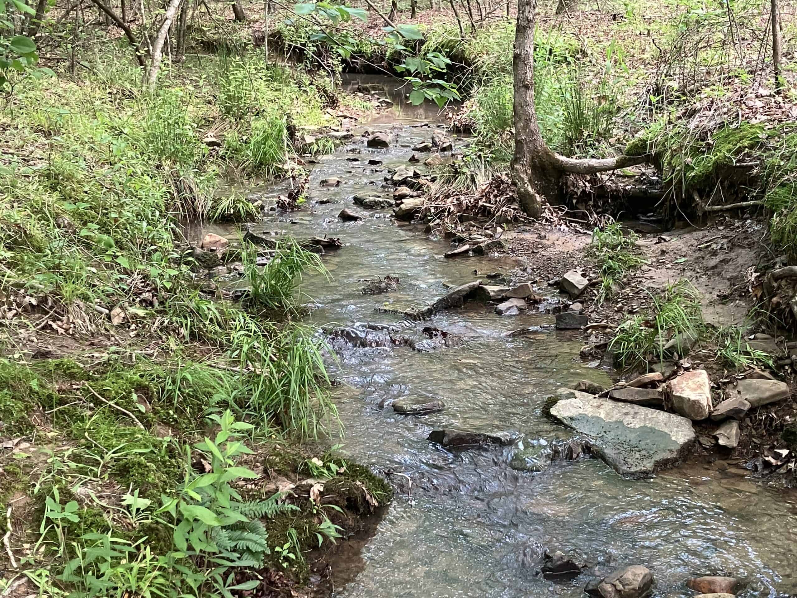 5± Acres of Wooded Hunting & Recreational Land with Creek in SE Oklahoma