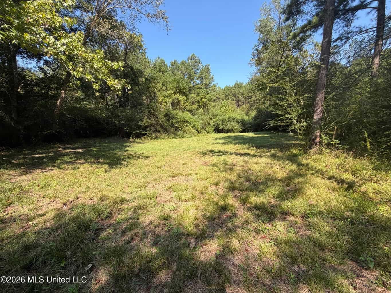 52 Acres Hunting & Timberland in Raleigh, MS