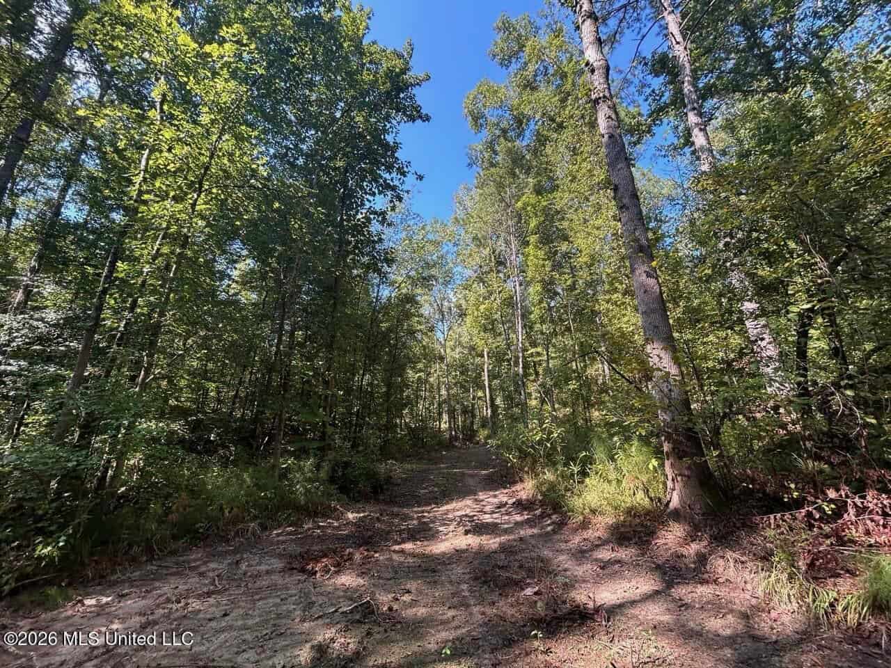 45± Acre Hunting Property in Franklin County, MS