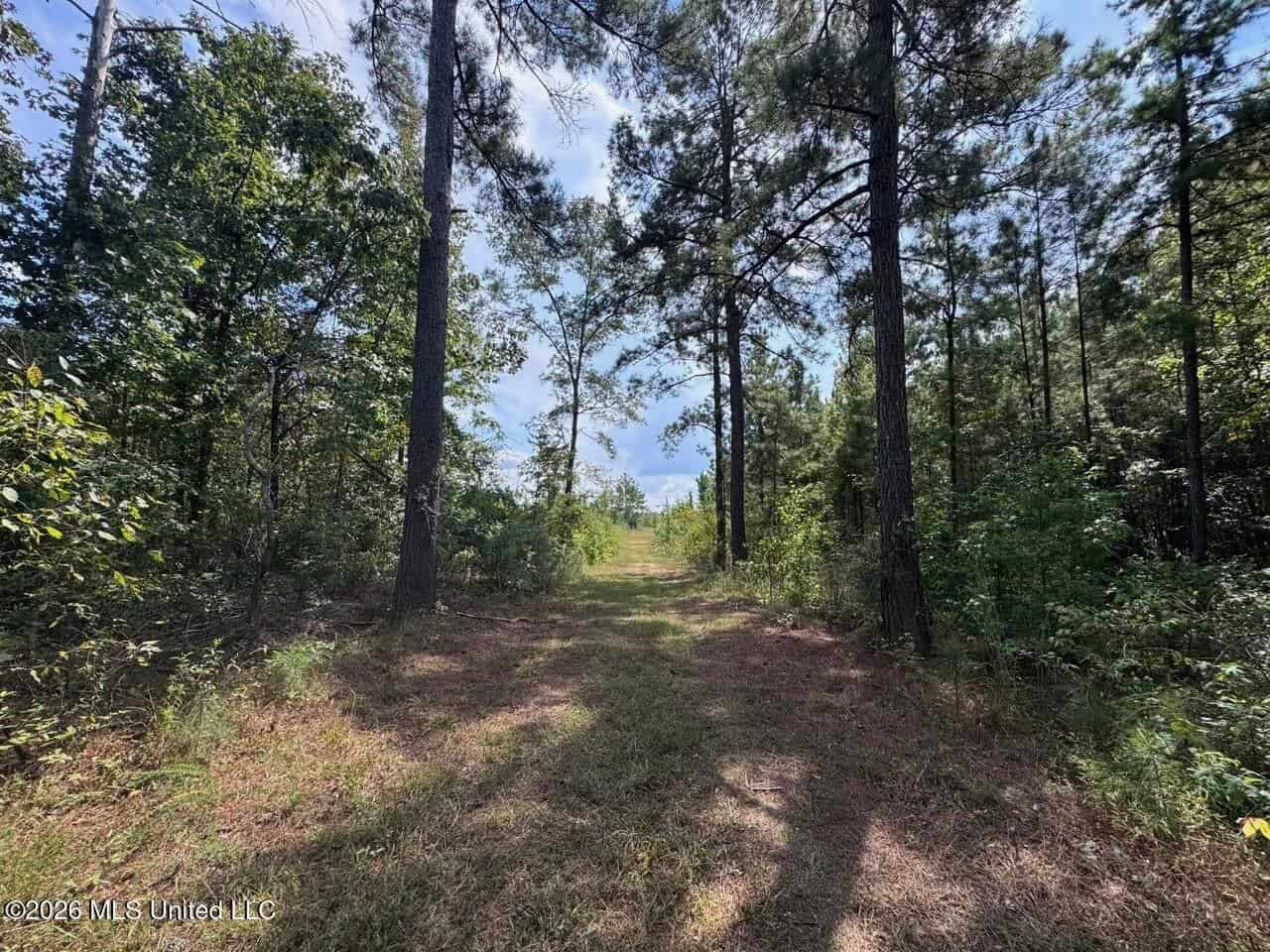 200± Acre Hunting Property in Jefferson County, MS