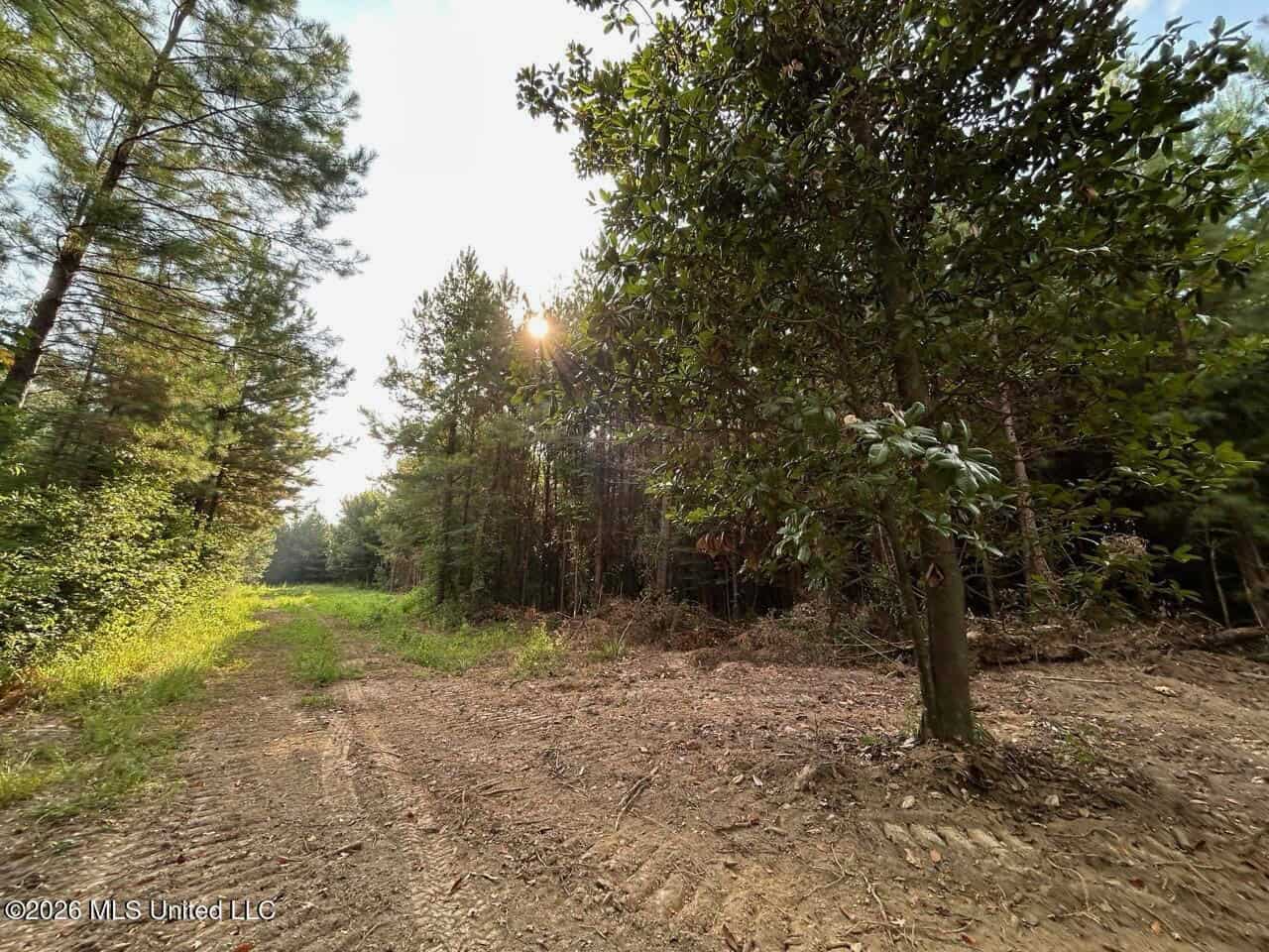80± Acre Riverfront Hunting Land Near Meadville, MS