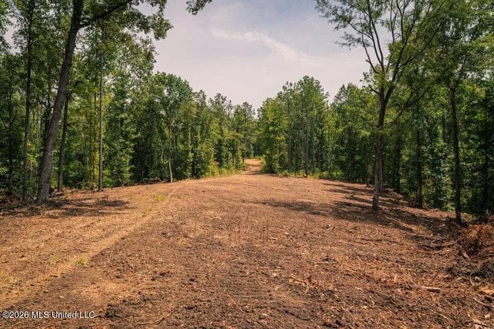 36± Acre Hunting Property Near Bude, MS
