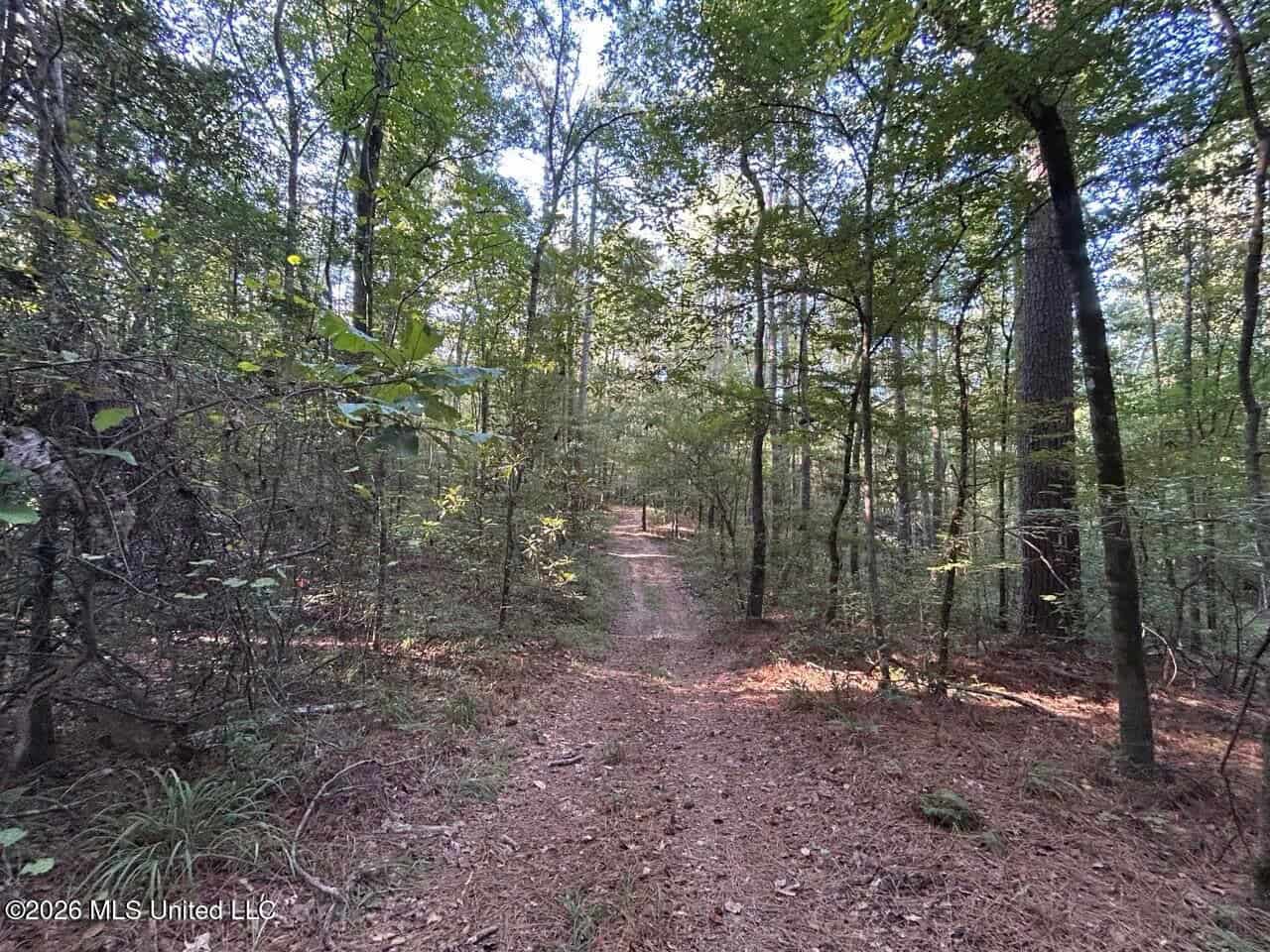 210+/- Acres and Cabin in Franklin County, MS