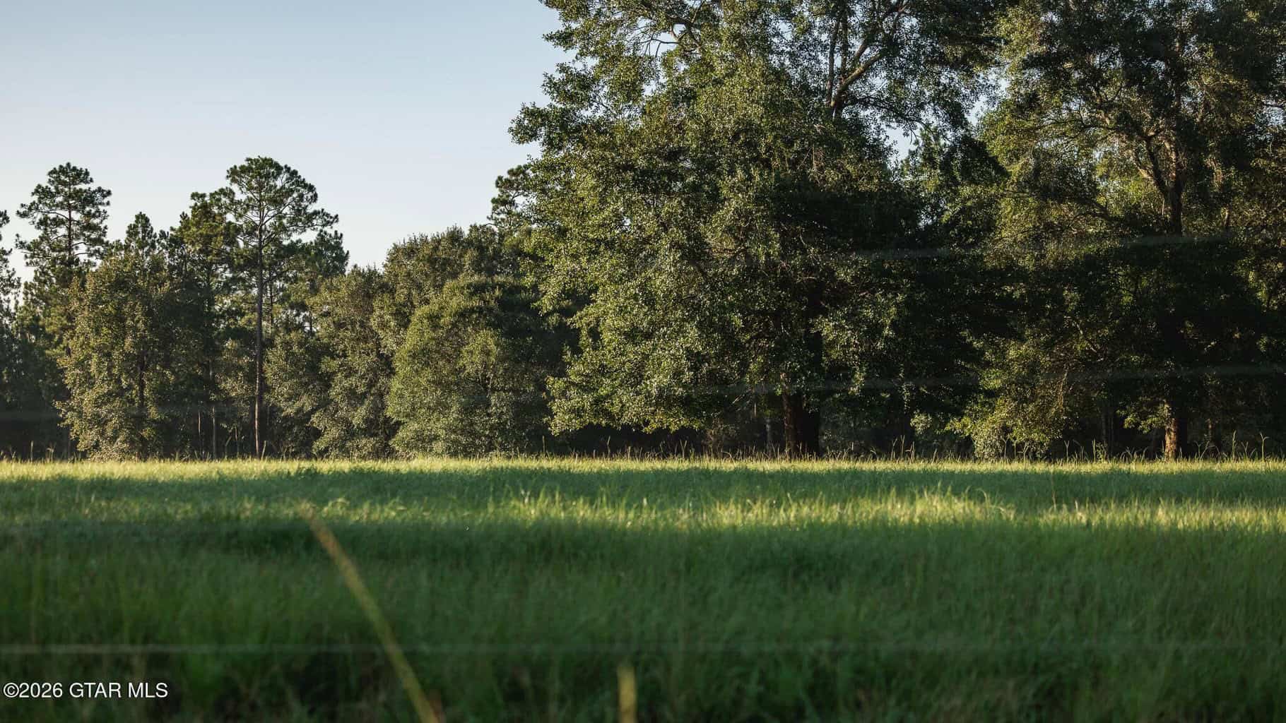 Golden Pines Ranch – 96 Acres