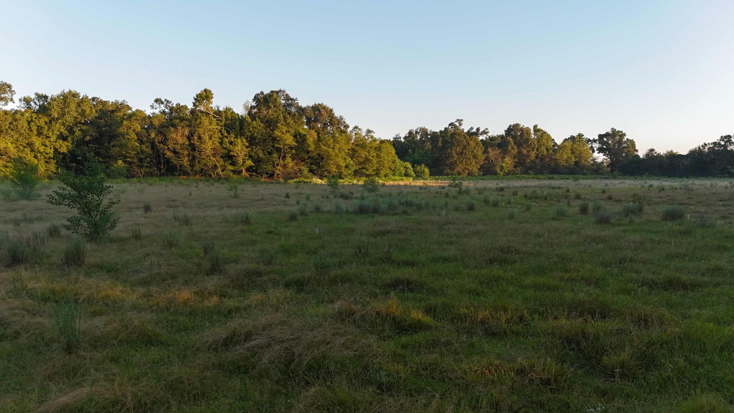 80 Ac Home, Hunting & Cattle Land in Franklin Parish LA
